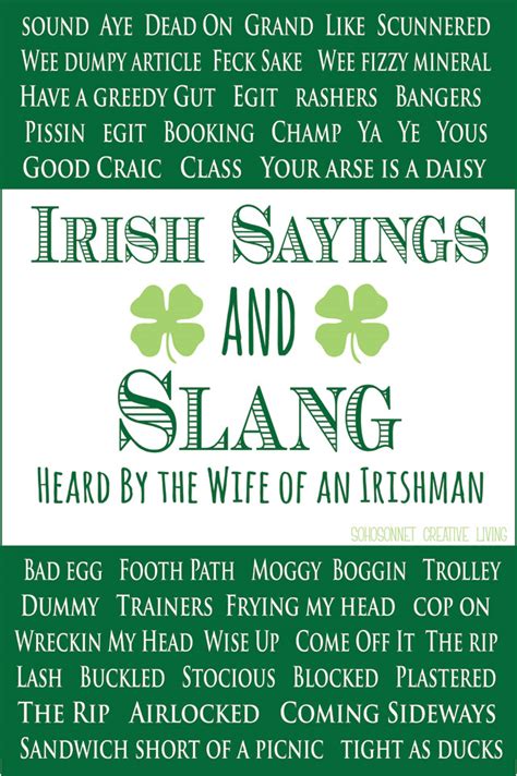 Funny Irish Quotes And Sayings Quotesgram