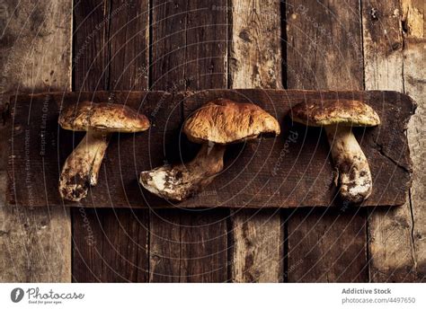 Boletus Edulis On Rustic Wooden Cutting Board A Royalty Free Stock