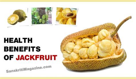 Health Benefits Of Jackfruit Sanskriti Indian Culture