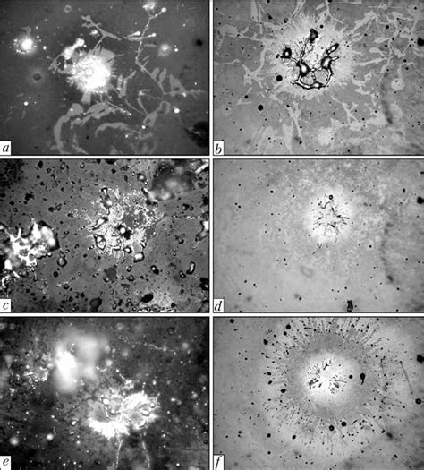 Splats Of Particles Of Powder Pt Na 01 Sprayed By The Plasma Arc Method