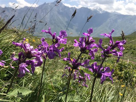 The Kazbegi National Park in the Greater Caucasus - Geographic Travel Georgia