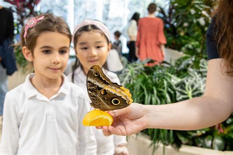 Billets Pour Le Musée Américain Dhistoire Naturelle De New York