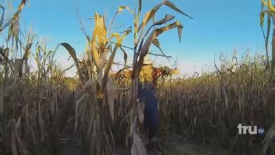 Sal S Haunted Corn Maze By Impractical Jokers Haunted Corn Maze | Hot ...