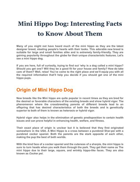 PPT - Mini Hippo Dog: Interesting Facts to Know About Them PowerPoint ...