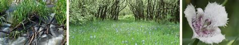 Planned Giving Workshop Mckenzie River Trust Protecting Lands In