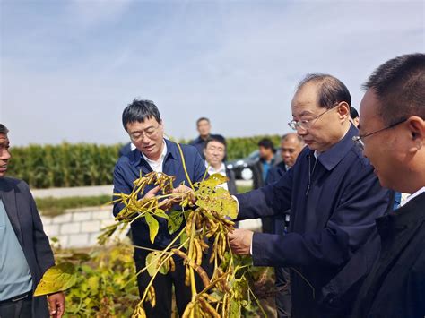 德州市委书记田卫东到临邑县调研“三秋”生产等工作德州新闻网