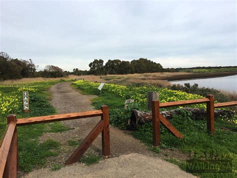 Wetlands Loop Trail, Onkaparinga River | Walking SA