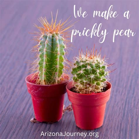 Cactus Quotes Sayings And Captions For Succulent Lovers