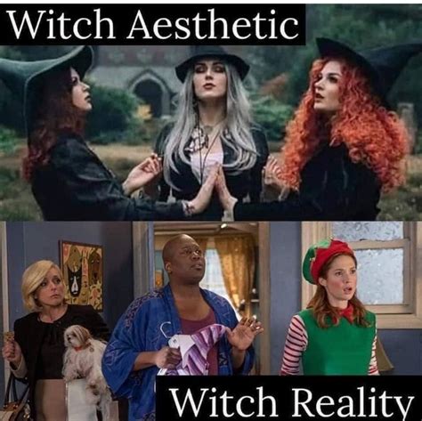 Pin By Elena Sokie On Spiritual Memes Funny Witch Amd Tarot Humor