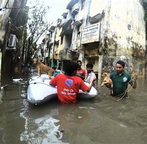 Flood Rescue Boats, Inflatable Boats for Rescue and Relief work