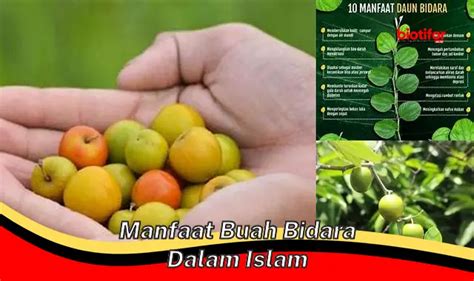 Temukan Manfaat Sembukan Jarang Diketahui Yang Perlu Anda Ketahui