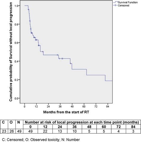 A Phase II Toxicity End Point Trial ICORG 99 09 Of Accelerated Dose