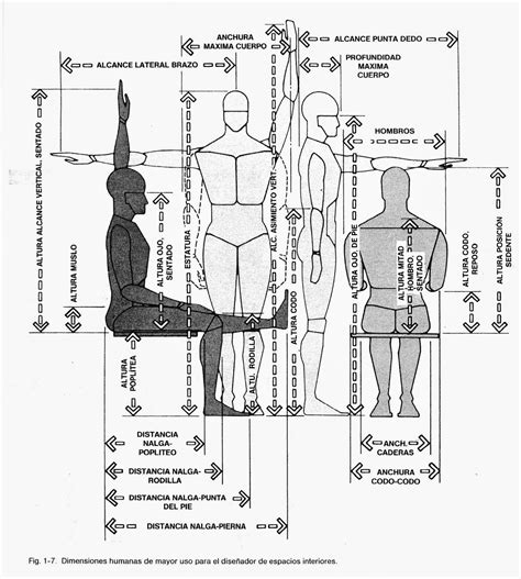 Ergonomia EUCD Nombres De Las Dimensiones Humanas Julius Panero