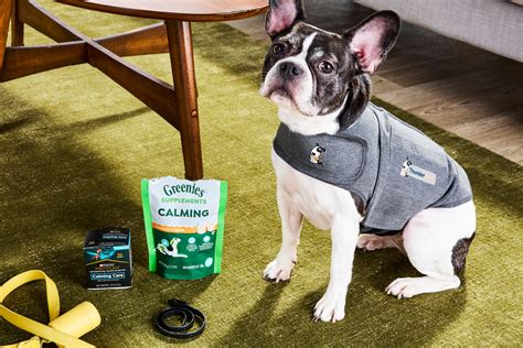 The 6 Best Calming Aids for Dogs, Tested and Reiviewed