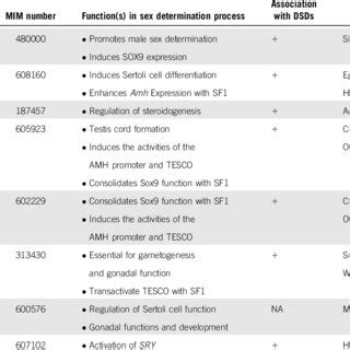 Epigenetic Mechanisms In Sex Determination The Figure Identifies Main