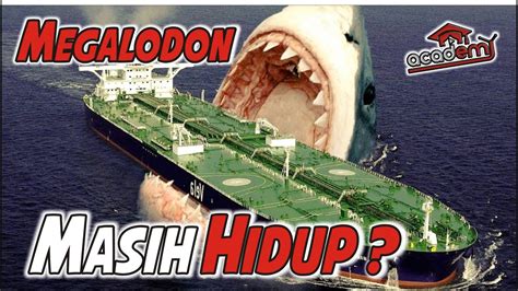 MEGALODON Masih Hidup Inilah 5 Fakta Hiu Monster Terbesar Sepanjang