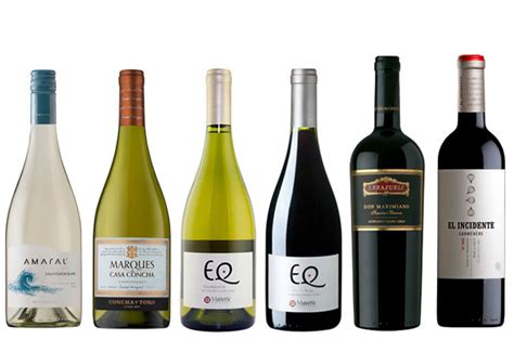 Top Chilean wines to drink now - Decanter