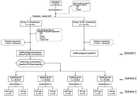 Hormone Flow Chart