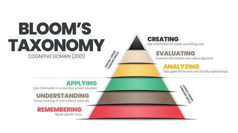 Taxonomy Pyramid Triangle Concept Is A Cognitive Domain Vector