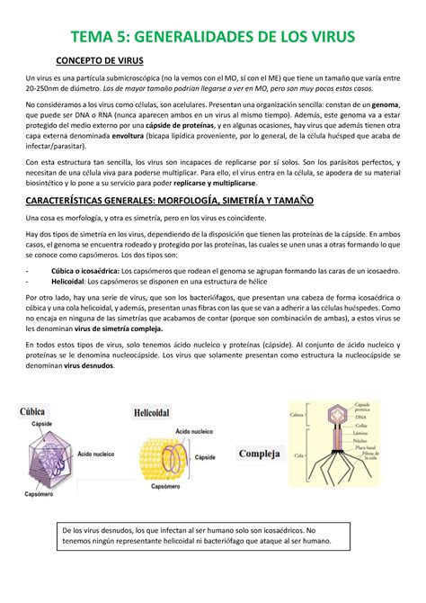 Tema 5 Generalidades de los virus converted microbiología UAH Studocu