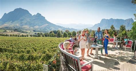 Cape Town Cape Winelands Full Day Shared Tour Getyourguide