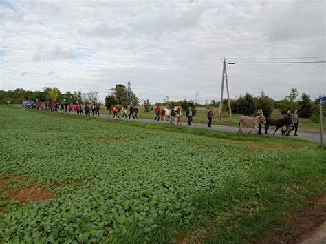 Mosnac Saint Simeux La Petite Ferme De Julien Organise Sa