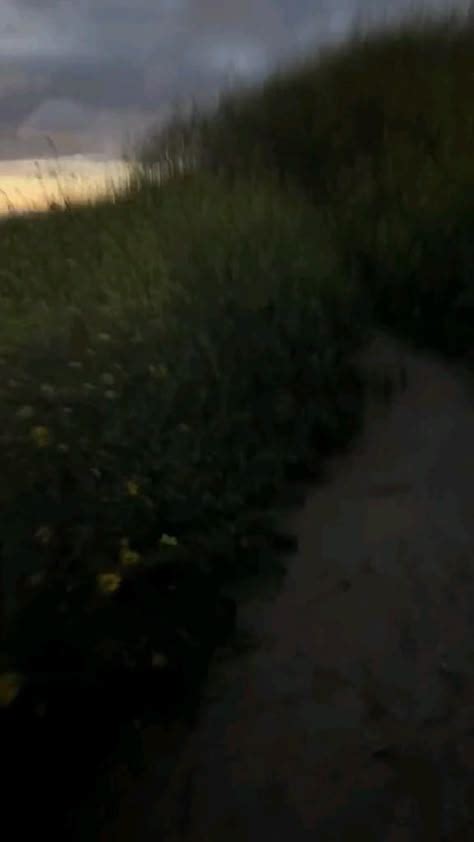 Pin On Cute Gay Love