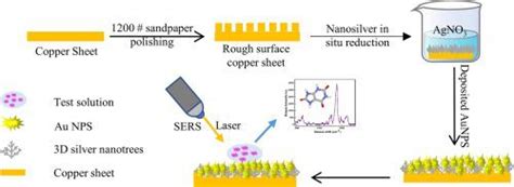 Preparation Of D Nano Silver Trees Sea Urchin Like Gold And Sers