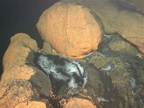 Le Volcan Sous Marin De Mayotte Se Dévoile En Photos Natura Sciences