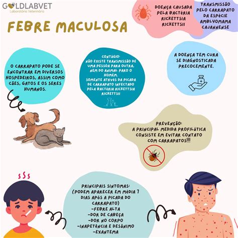 Febre Maculosa Como Diagnosticar E Prevenir Gold Lab Vet