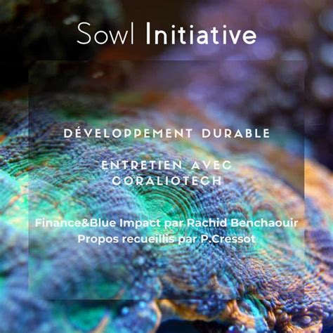 Sustainable Ocean Sowl Initiative