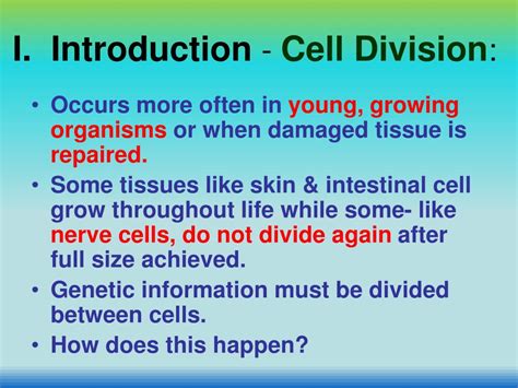 Ppt Chapter 8 Cell Reproduction Powerpoint Presentation Free Download Id 3851875