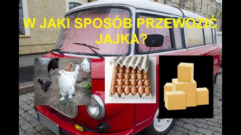 Odcinek 925 W CZYM I W JAKI SPOSÓB PRZEWOZIĆ JAJKA ŻEBY SIĘ NIE