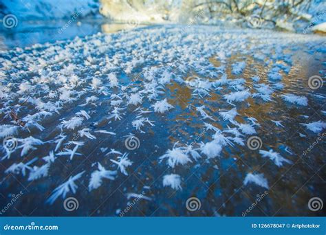 Snowflakes Lying On Icy Surface Of River In Winter Stock Image Image