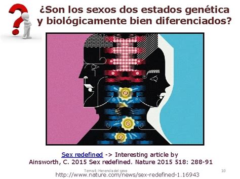 Objetivos Tema 4 Herencia Del Sexo Determinacin Del