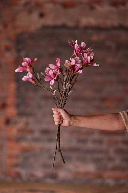 Kunstig rosa Magnolie gren Neder Kjærsholm Hovedgaard