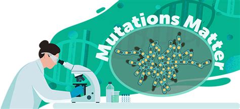 Studying mutations and phenotypes | Ask A Biologist