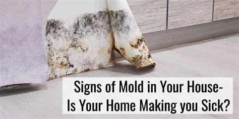 Signs Of Mold In Your House Fwdfuel Sports Nutrition