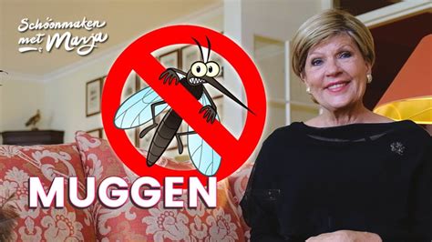 Muggenbeten Voorkomen Doe Je Zo Schoonmaken Met Marja Middeldorp