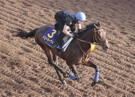 【宝塚記念】3連勝中と勢いに乗るシュトルーヴェがレーン騎手と初コンタクト 「動きもアクションも良く」 Umatoku 馬トク