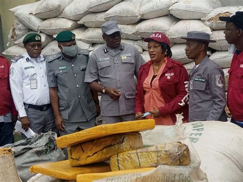 Customs Hands Over Seized Illicit Drugs To Ndlea [photos] Daily Post