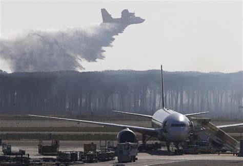 Incendio A Fiumicino Forestale Distrutti Ettari Origine Dolosa