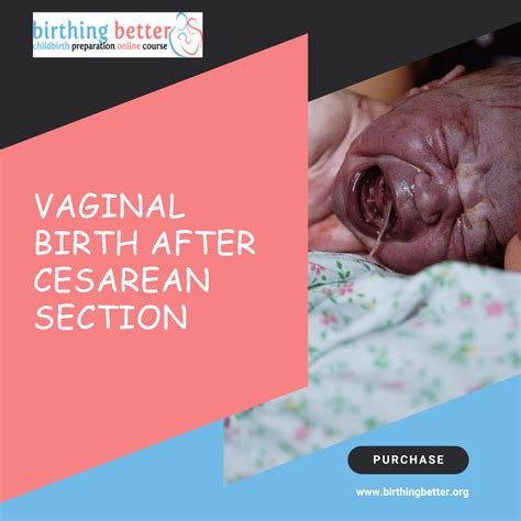 Vbac Exploring Your Options For A Vaginal Birth After Cesarean Section By Birthingbetter