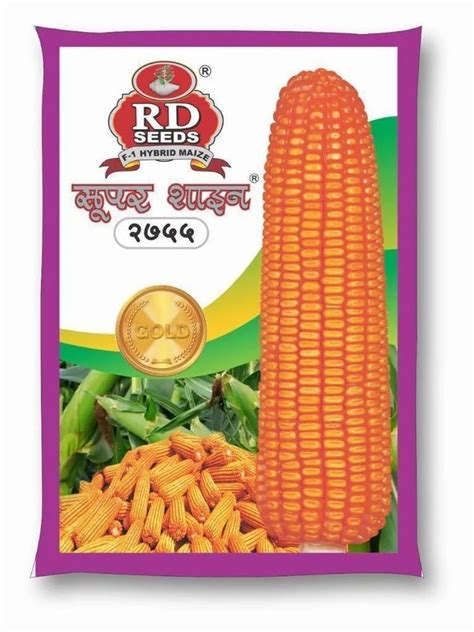 Dried Yellow Hybrid Maize Corn Seeds Packaging Type Pouch Packaging