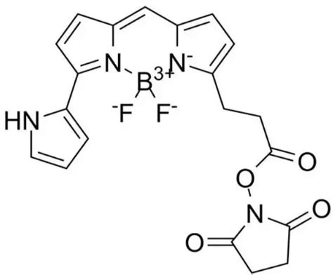 Py BODIPY NHS ester201998 61 0可以用于双光子激光扫描显微镜 CSDN博客