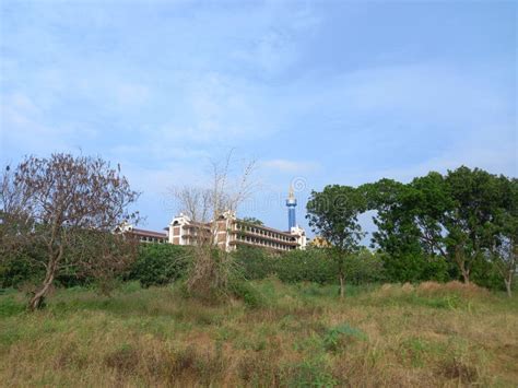 Paisaje Natural Plantaciones De Madera Dura Y Agricultura En El Campus