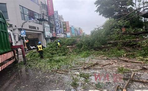 杜蘇芮橫掃台南 路樹招牌倒塌共逾千件