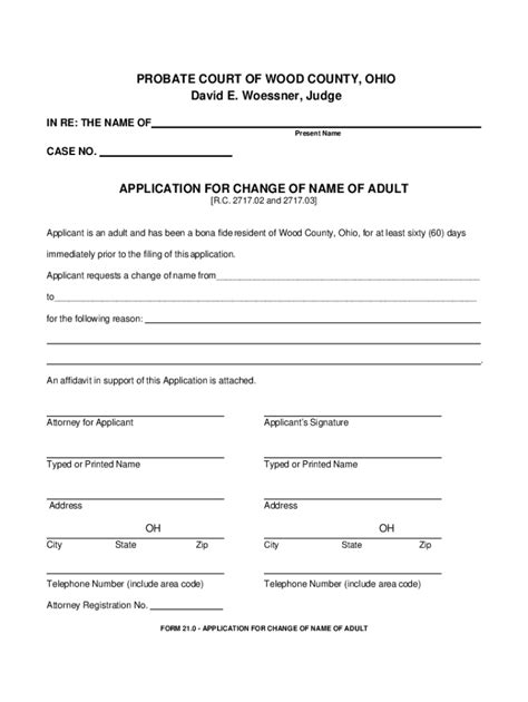 Wood County Ohio Probate Court Fill Out Sign Online DocHub