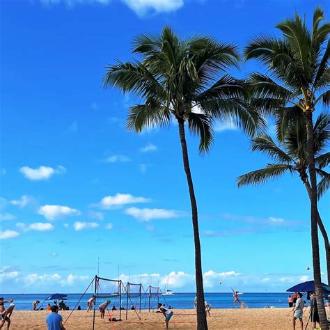 Hawaii: Beach Volleyball | UD Abroad Blog