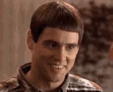 Dumb Dumber GIF - Dumb Dumber Jimcarey - Discover & Share GIFs